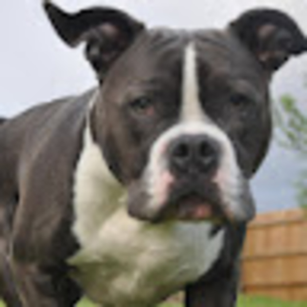 Meet your Posher, Matt